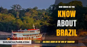 Exploring Brazil: Unveiling Cultural, Historical, and Natural Wonders