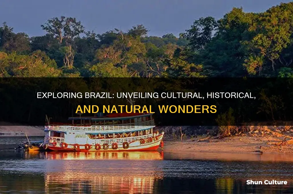 how much do you know about brazil