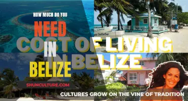 The Cost of Paradise: Uncovering the True Expense of Living in Belize