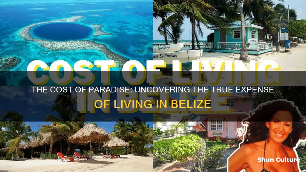 how much do you need in belize