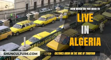 Living Costs in Algeria: Budgeting for a Comfortable Life
