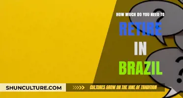Retiring in Brazil: Calculating Your Ideal Nest Egg for Comfort