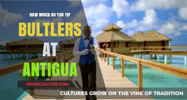 Tipping Butlers in Antigua: A Guide to Gracious Gratitude