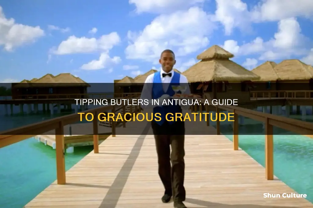how much do you tip bultlers at antigua