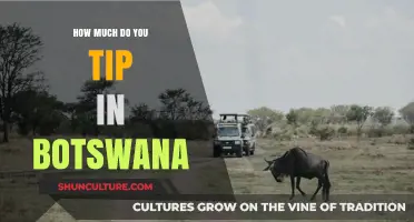 Tipping Etiquette in Botswana: A Guide to Gracious Gratitude