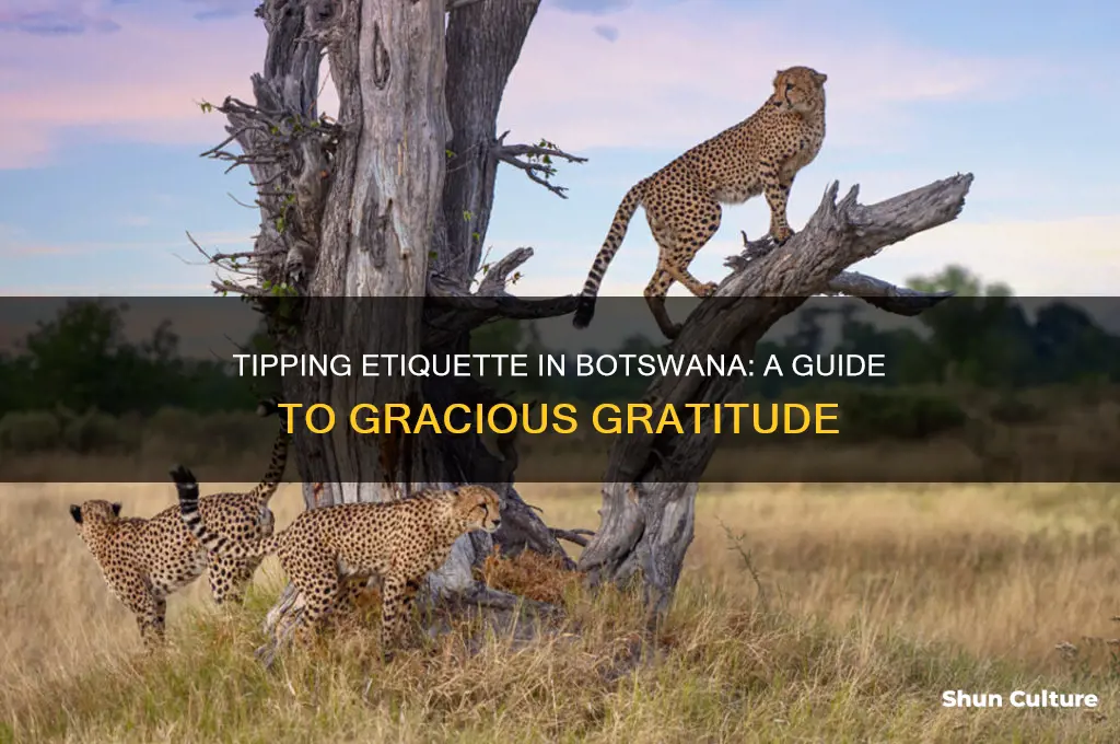 how much do you tip in botswana