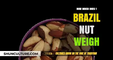 Discover the Surprising Weight of a Single Brazil Nut