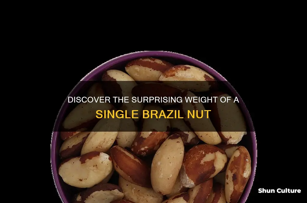 how much does 1 brazil nut weigh
