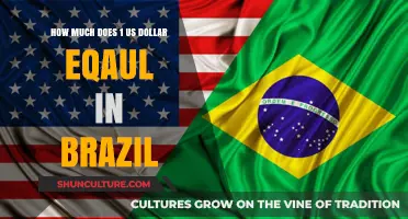 Understanding the Current USD to Brazilian Real Exchange Rate