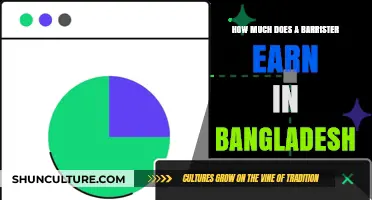 Barrister Earnings in Bangladesh: Unveiling the Salary and Career Prospects