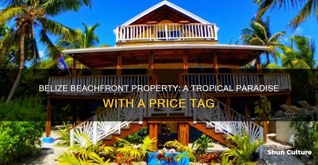 how much does a beach house cost in belize