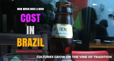 Exploring Brazil's Beer Prices: A Guide to Costs for Travelers