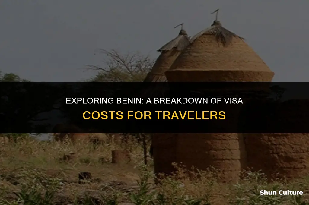 how much does a benin visa cost