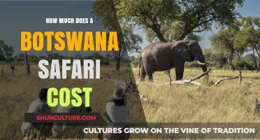 Botswana Safari Cost Guide: Budgeting for an Unforgettable Adventure