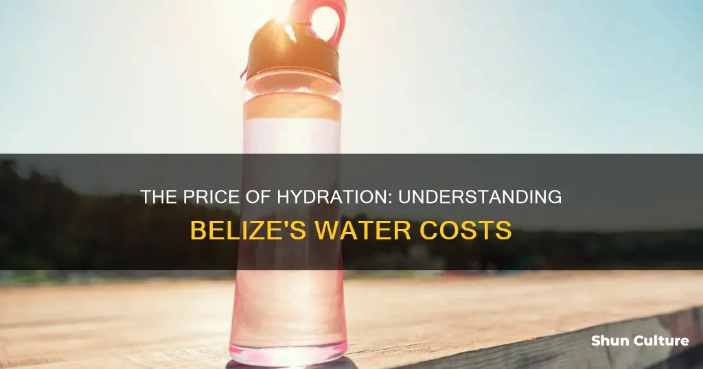 how much does a bottle of water cost in belize