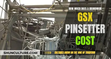 Brunswick GSX Pinsetter: Costly Kingpin