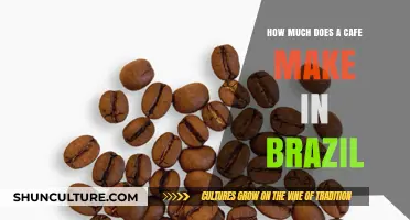 Exploring Brazilian Cafe Profits: Average Earnings and Financial Insights