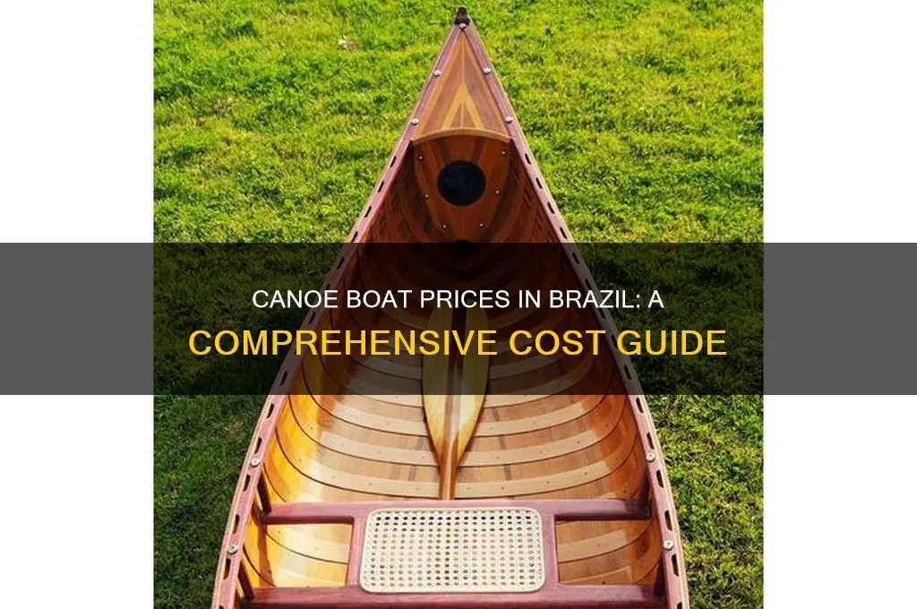 how much does a canoe boat cost in brazil