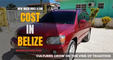 Belize's Automotive Market: Unveiling the Cost of Owning a Car