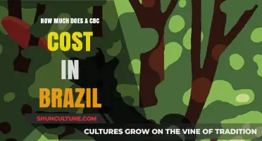 Understanding CBC Test Costs in Brazil: A Comprehensive Price Guide