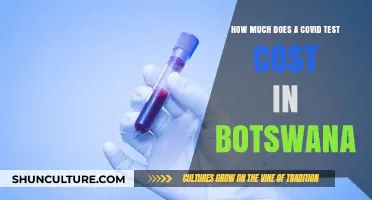 COVID-19 Test Costs in Botswana: What You Need to Know