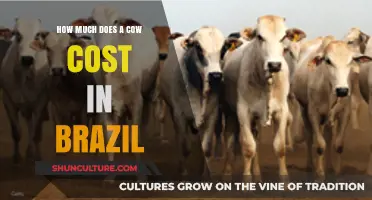 Understanding the Cost of Cows in Brazil's Agricultural Market