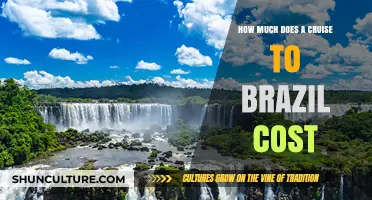 Cruise to Brazil: Unveiling the Cost of Your Tropical Adventure
