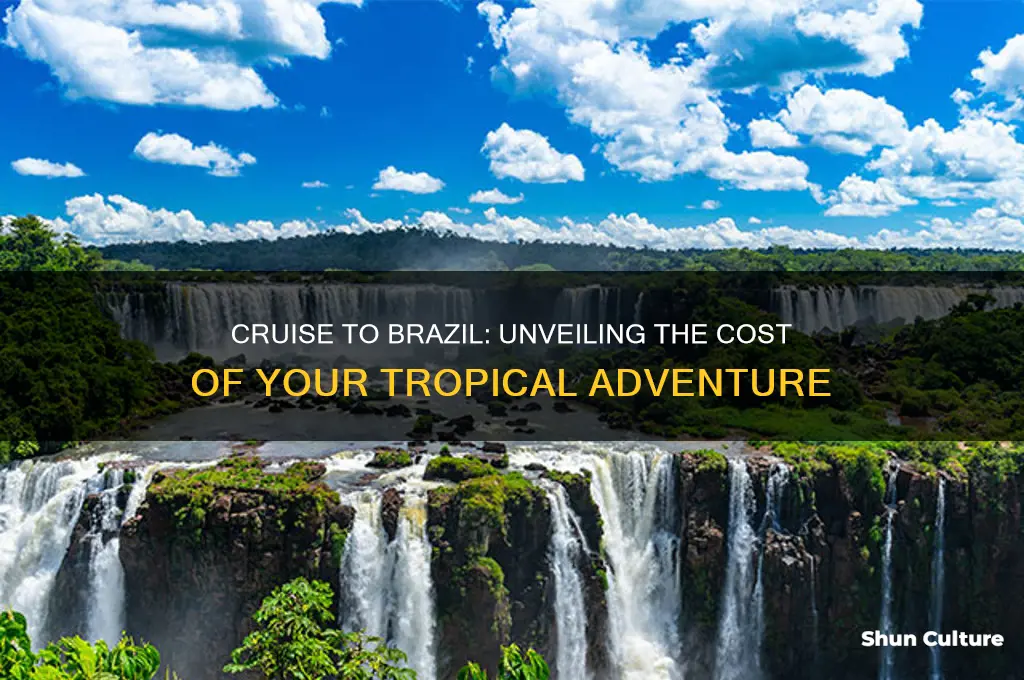 how much does a cruise to brazil cost