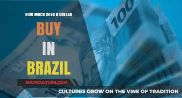 Exploring Brazil's Purchasing Power: What Can a Dollar Buy?