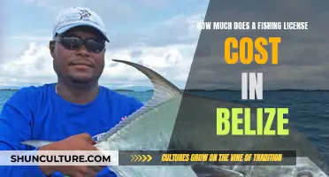 Belize Fishing License: Uncovering the Cost for Anglers