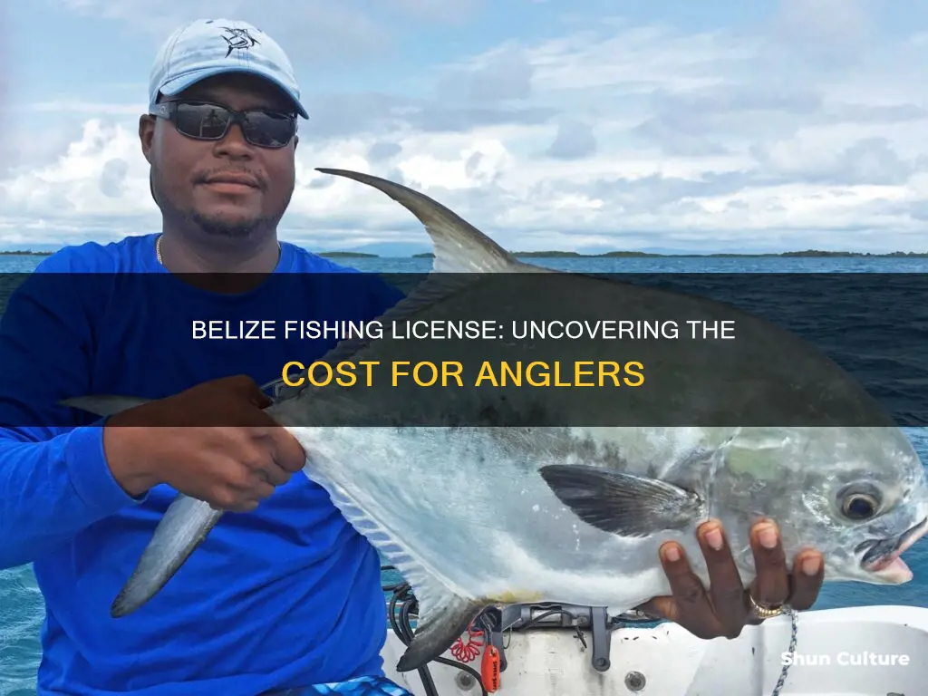 how much does a fishing license cost in belize