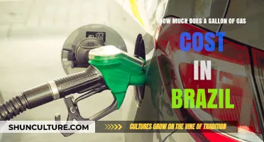 Brazil's Gas Prices: Understanding the Cost of a Gallon Today