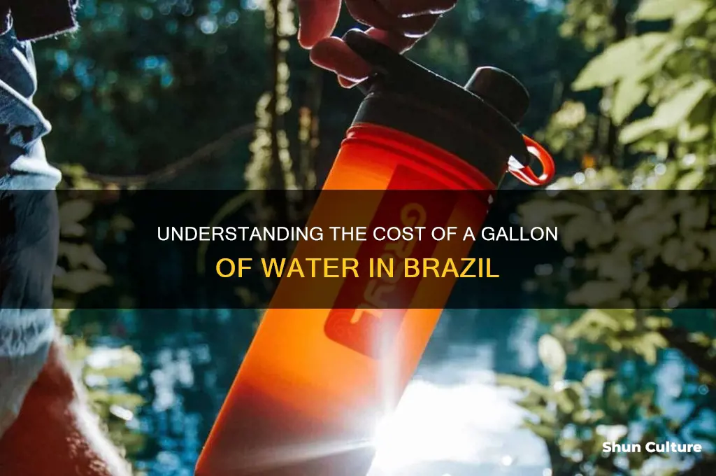 how much does a gallon of water cost in brazil