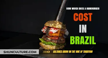 Exploring the Price of a Hamburger in Brazil: A Cost Breakdown