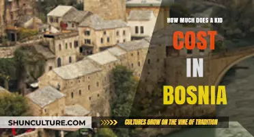 Raising a Child in Bosnia: Understanding the Financial Costs Involved