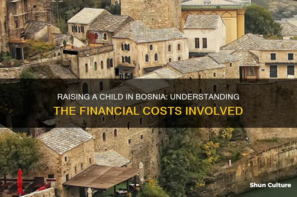 how much does a kid cost in bosnia