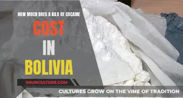 Cocaine in Bolivia: A Kilo's Cost