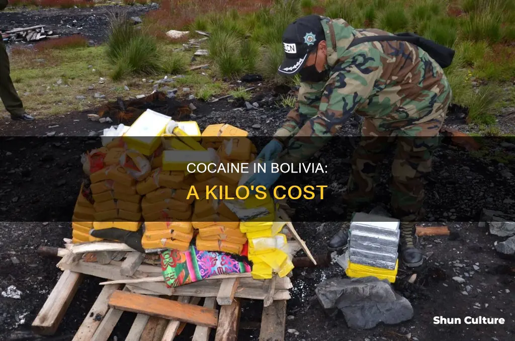 how much does a kilo of cocaine cost in bolivia