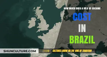 Cocaine Prices in Brazil: Understanding the Cost of a Kilo