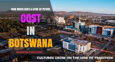 Botswana Petrol Prices: Current Cost of a Litre of Fuel