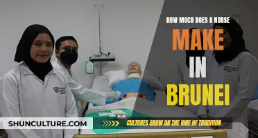 Lucrative Nursing Careers in Brunei: Salary Insights