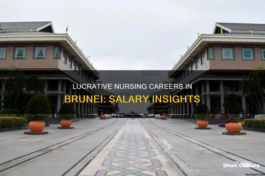 how much does a nurse make in brunei