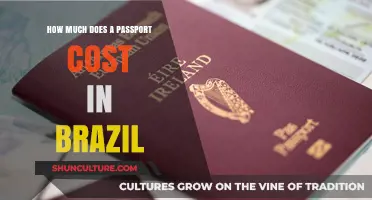 Brazil Passport Cost: Fees, Requirements, and Application Process Explained