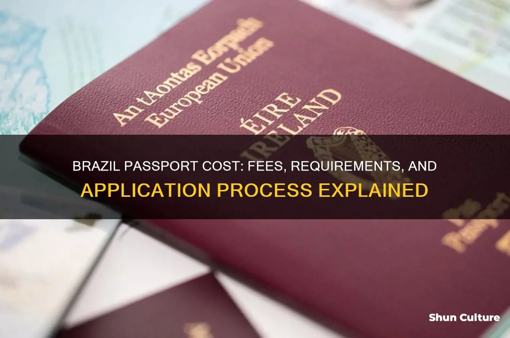 how much does a passport cost in brazil