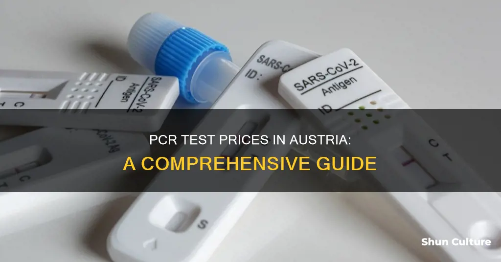 how much does a pcr test cost in austria