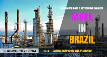 Petroleum Engineer Salaries in Brazil: A Comprehensive Salary Guide
