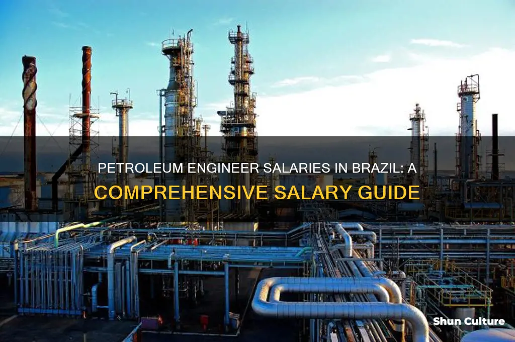how much does a petroleum engineer make in brazil