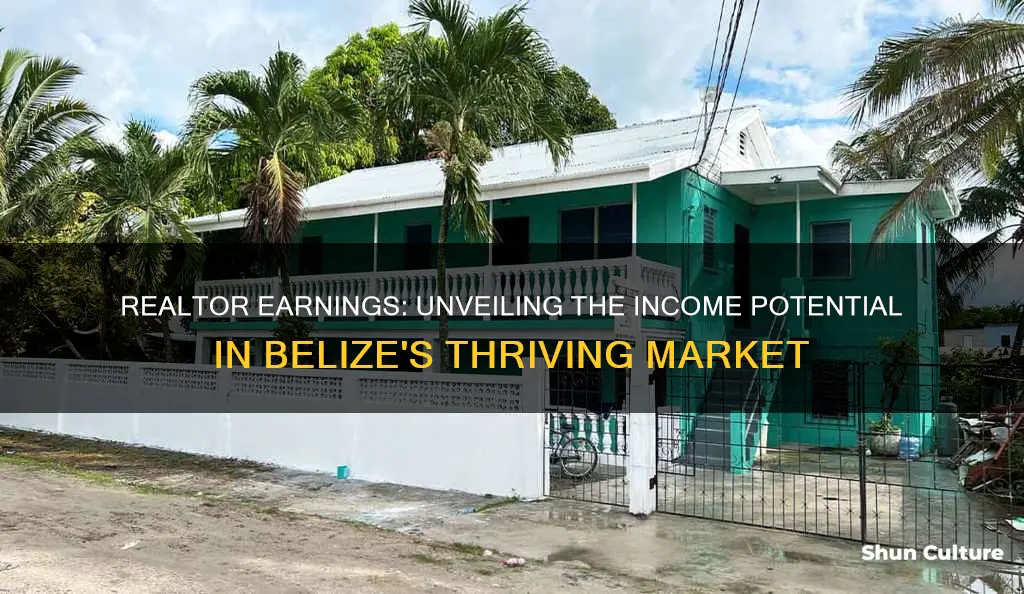 how much does a realtor make and belize