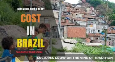 The Hidden Price of Human Trafficking in Brazil Today