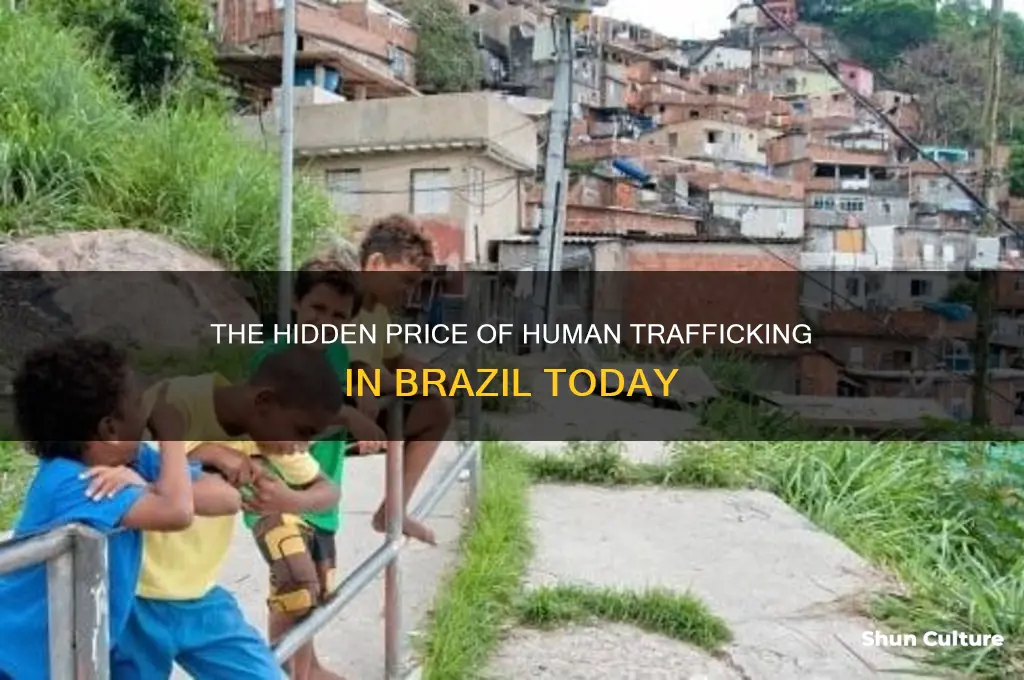 how much does a slave cost in brazil